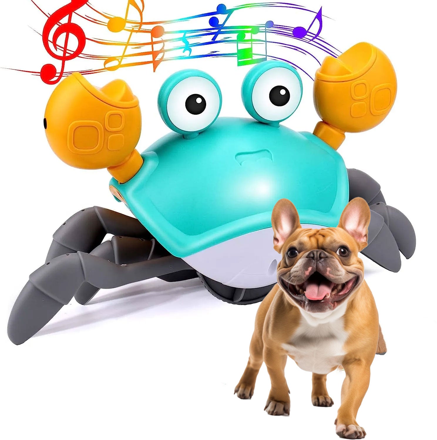 French Bulldog Interactive Chew Toy for Training Sessions-fadou