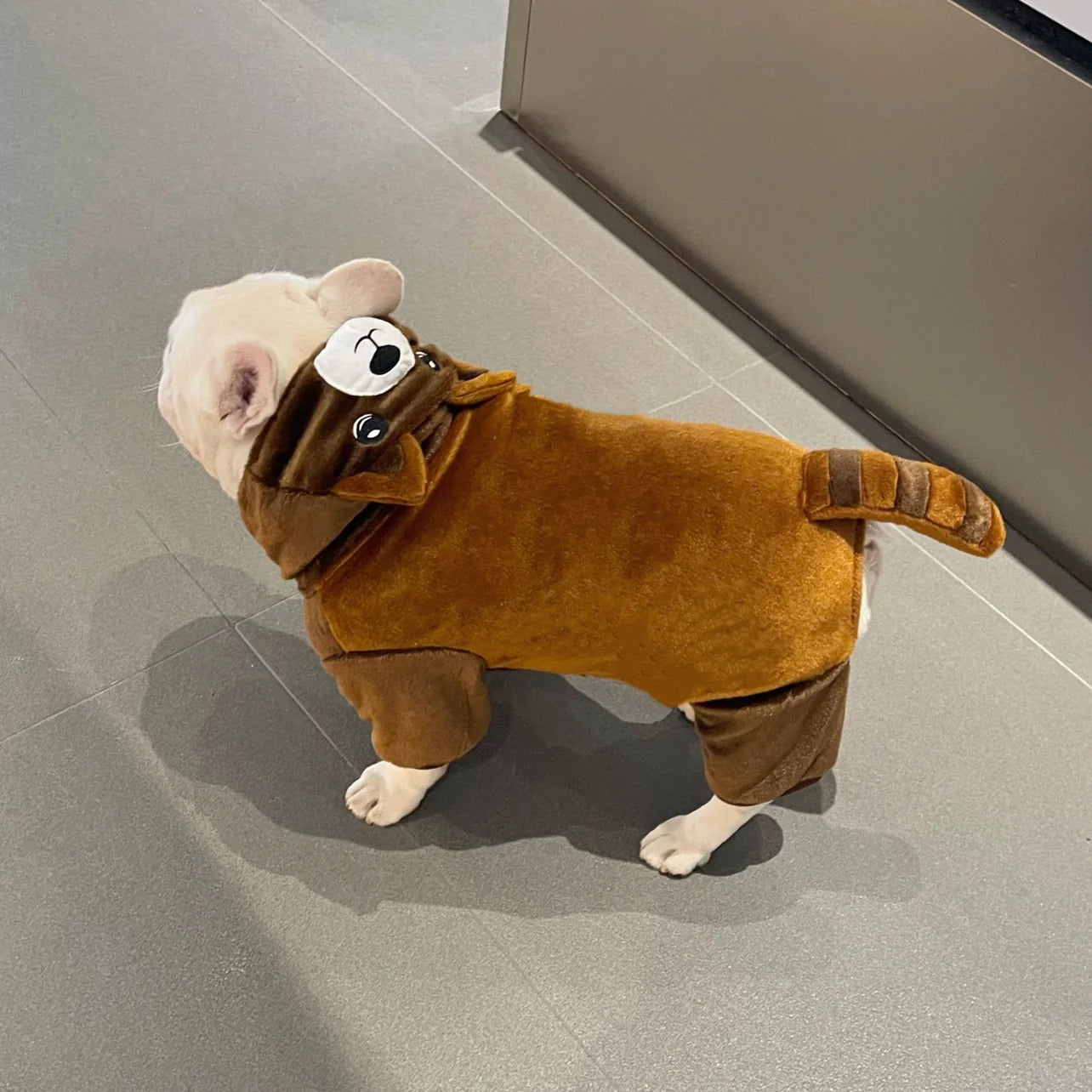 French Bulldog Soft Halloween Cosplay for Training Sessions-fadou