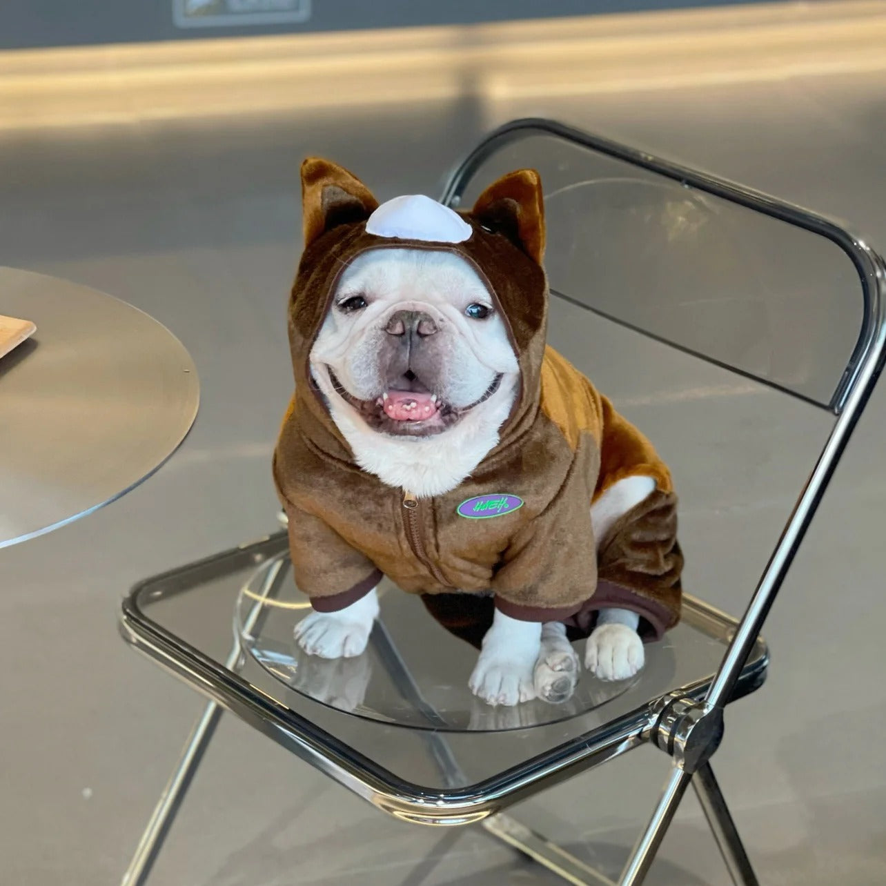 French Bulldog Soft Halloween Cosplay for Training Sessions-fadou
