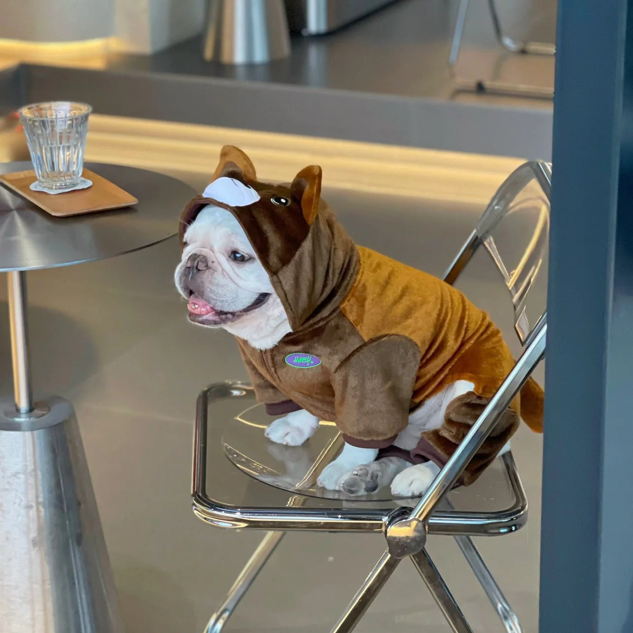 French Bulldog Soft Halloween Cosplay for Training Sessions-fadou