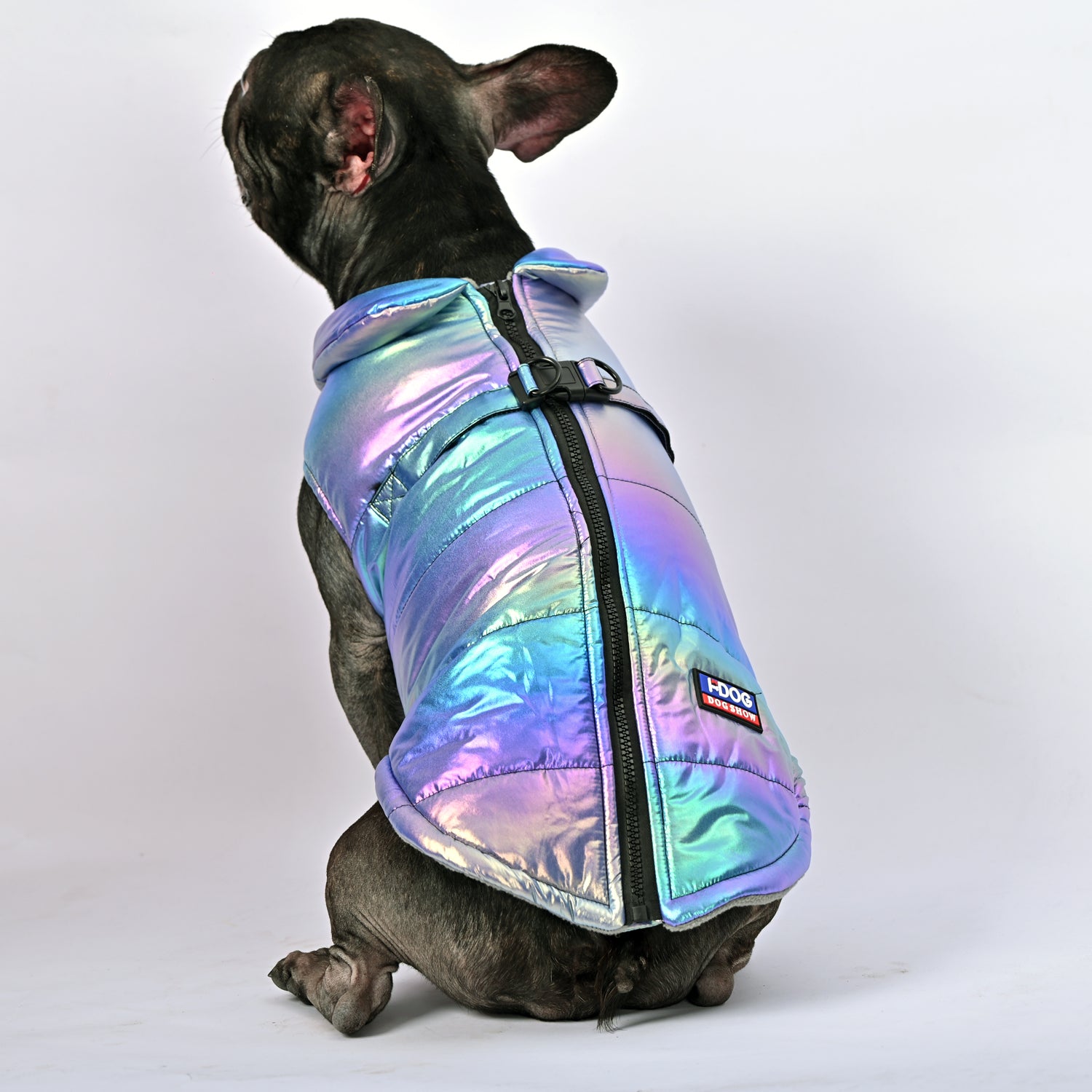 French Bulldog Reflective Product for Frenchie Enthusiasts-fadou