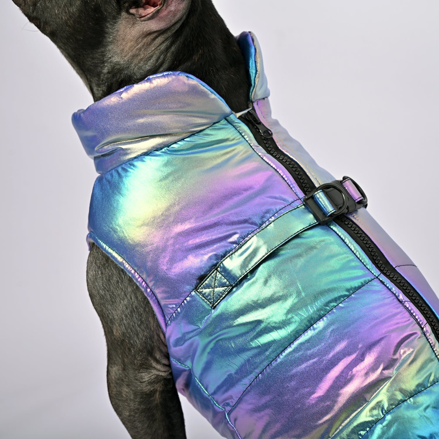 French Bulldog Reflective Product for Frenchie Enthusiasts-fadou