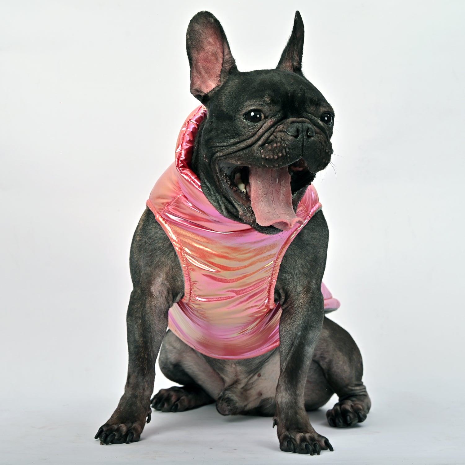 Snow Shield Frenchie Reflective Winter Warm Jacket for Frenchie Fans-fadou