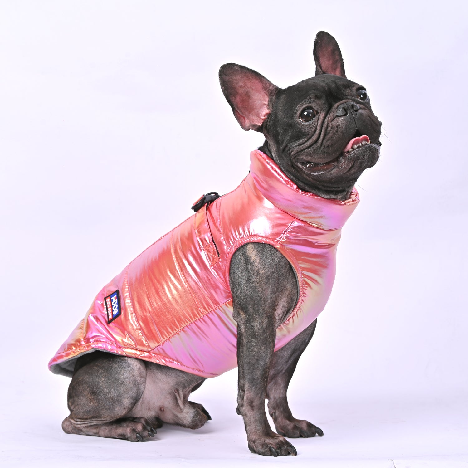 Snow Shield Frenchie Reflective Winter Warm Jacket for Frenchie Fans-fadou