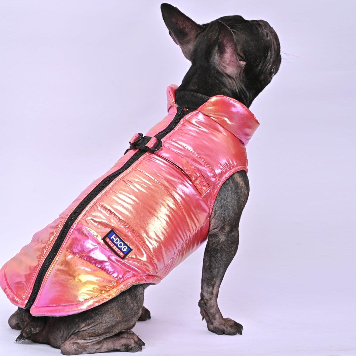 Snow Shield Frenchie Reflective Winter Warm Jacket for Frenchie Fans-fadou
