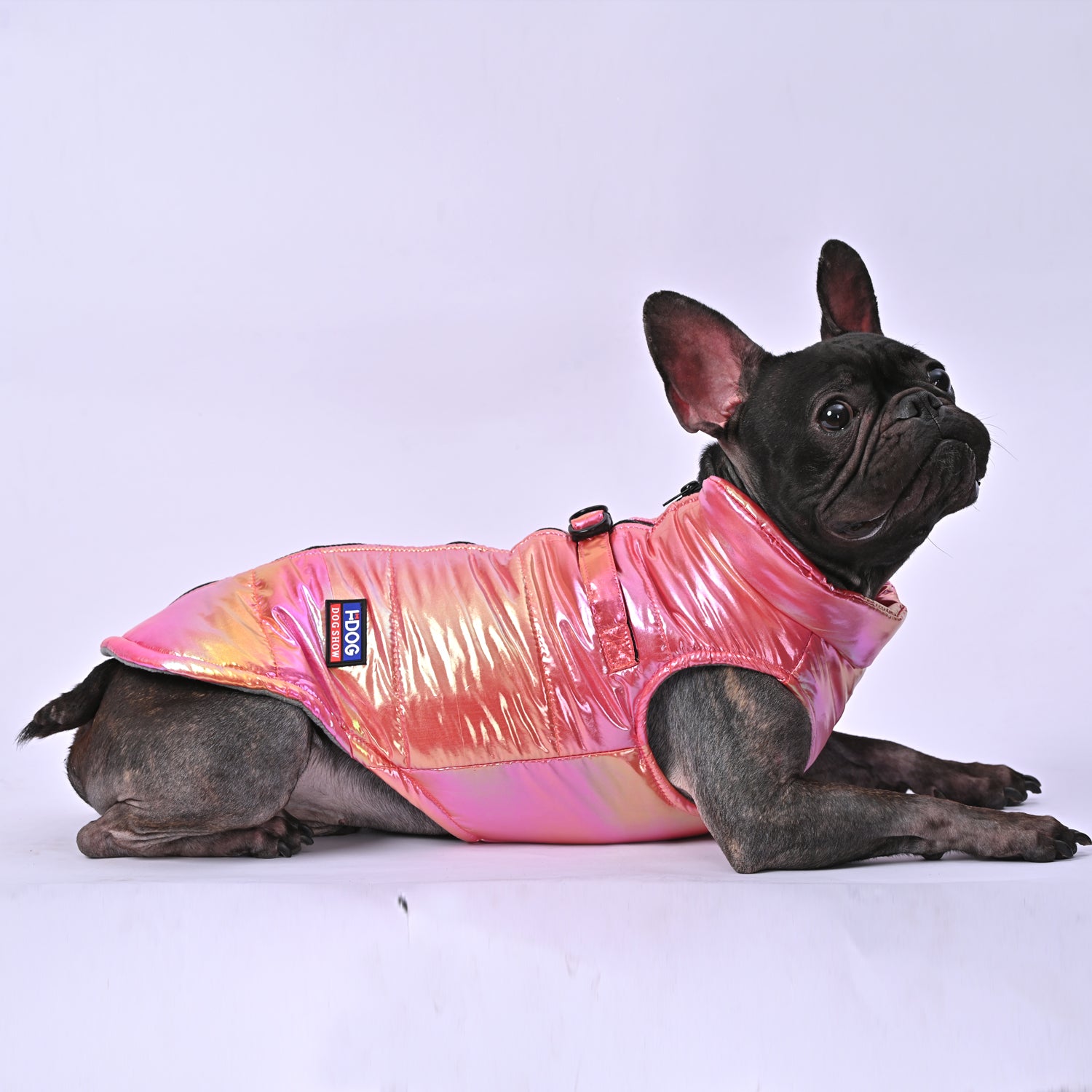 Snow Shield Frenchie Reflective Winter Warm Jacket for Frenchie Fans-fadou