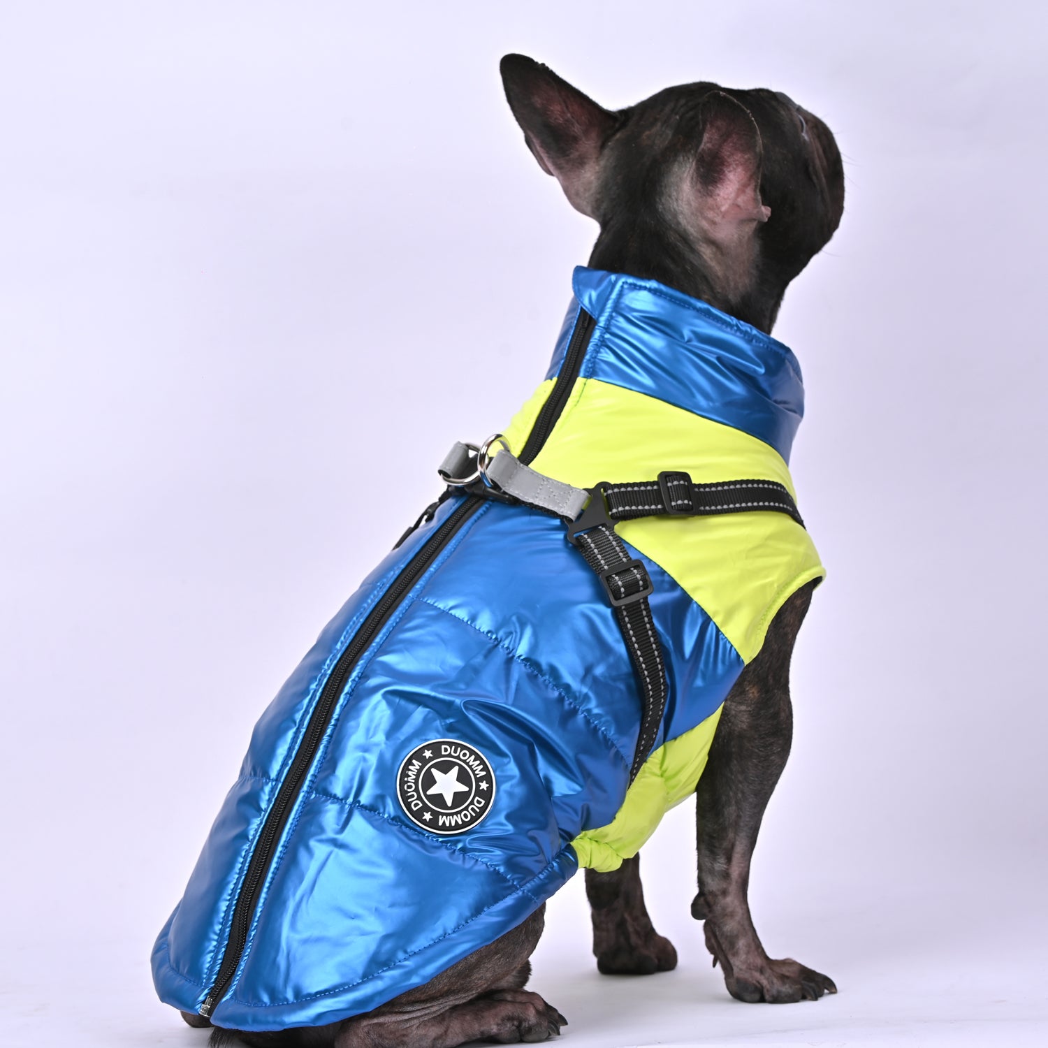 Snowy Snuggles Frenchie Warm Reflective Winter Jacket for Bulldog Owners-fadou