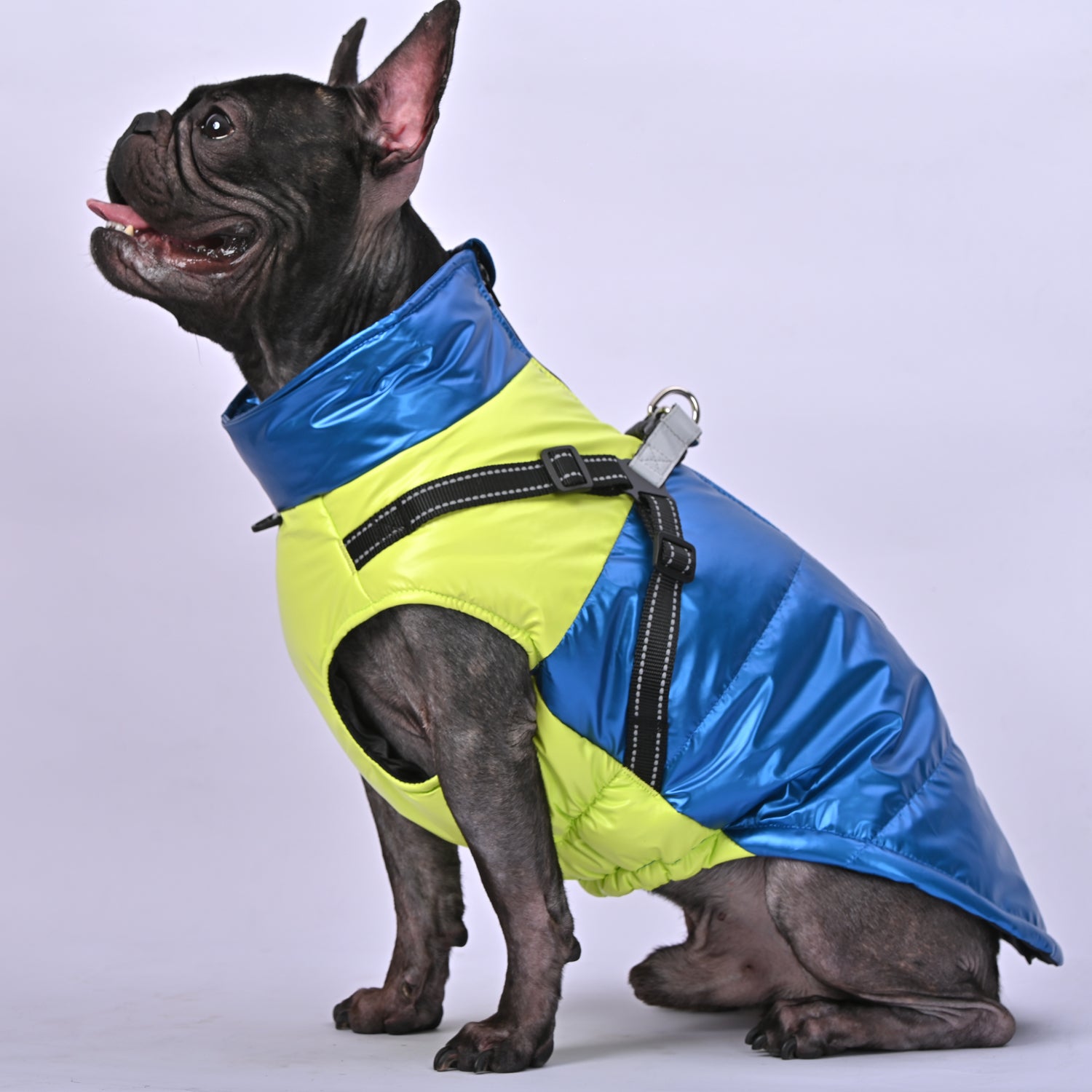 Snowy Snuggles Frenchie Warm Reflective Winter Jacket for Bulldog Owners-fadou
