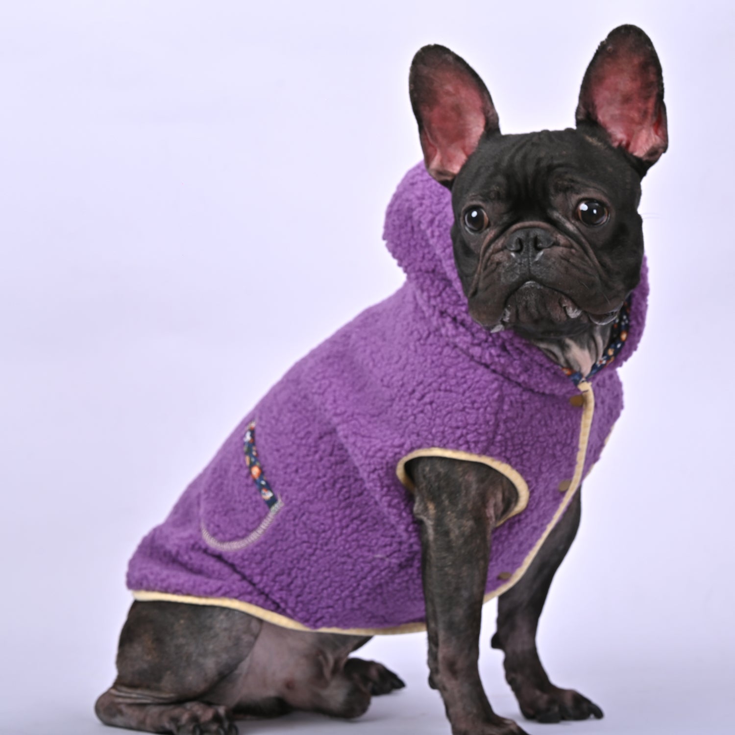 French Bulldog Warm Dog Accessory for Outdoor Adventures-fadou