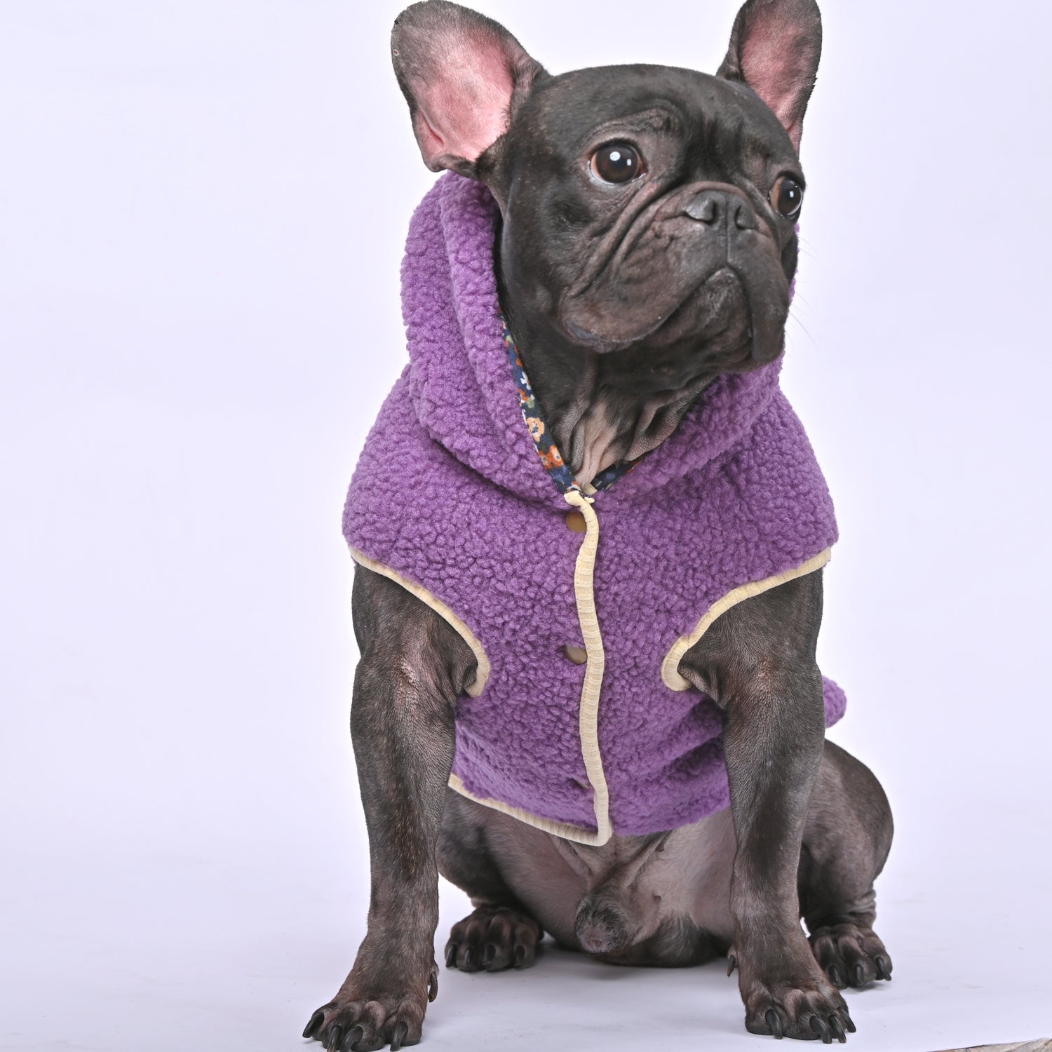 French Bulldog Warm Dog Accessory for Outdoor Adventures-fadou
