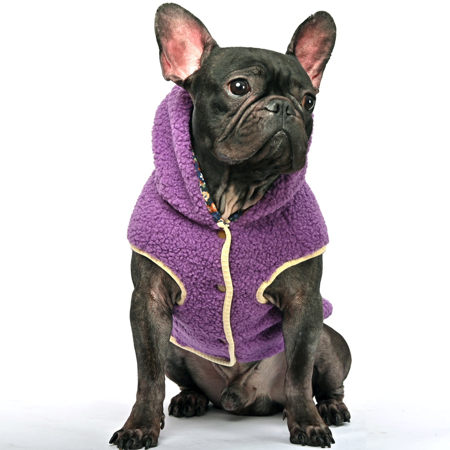 French Bulldog Warm Dog Accessory for Outdoor Adventures-fadou