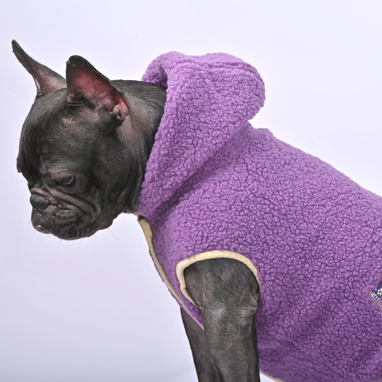 French Bulldog Warm Dog Accessory for Outdoor Adventures-fadou