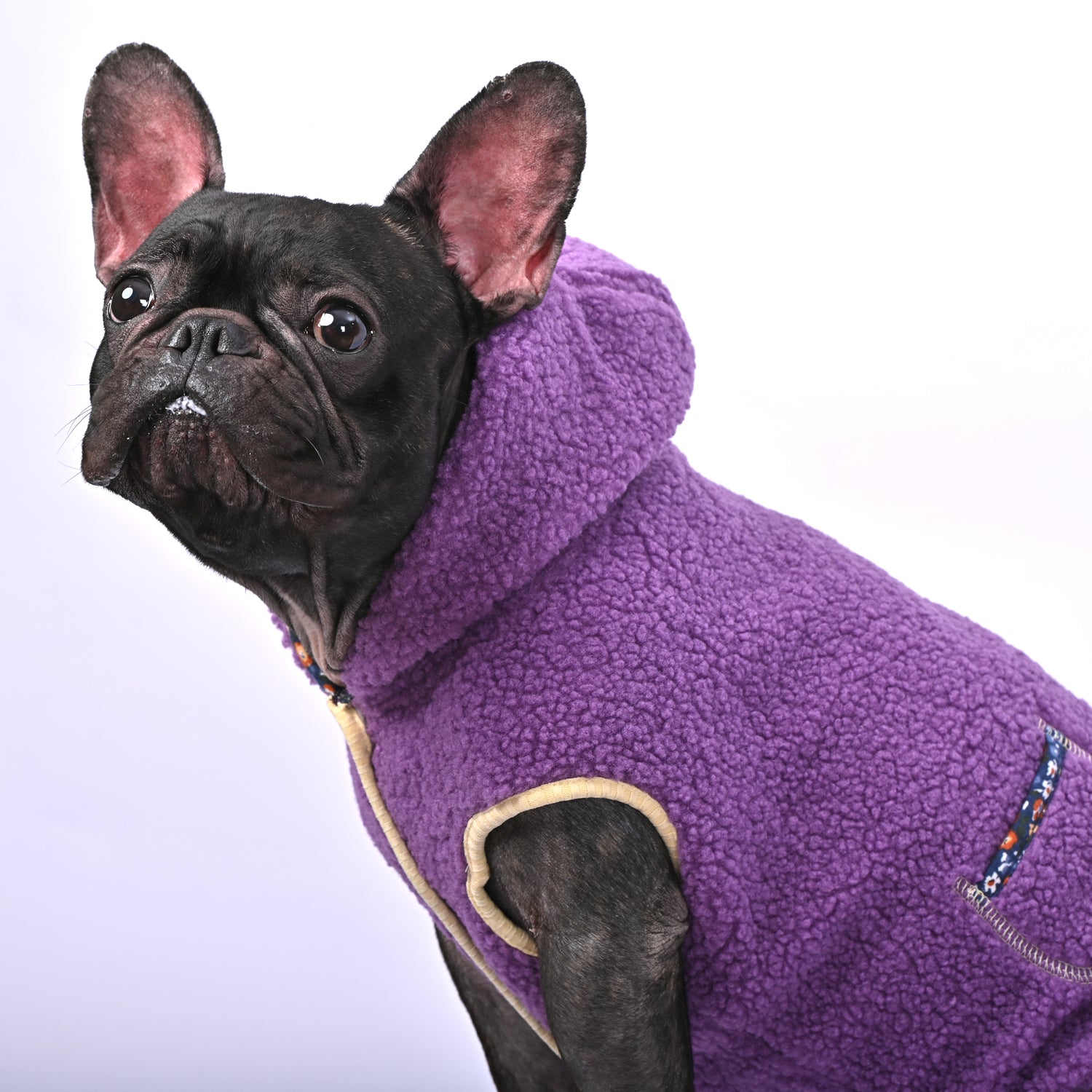 French Bulldog Warm Dog Accessory for Outdoor Adventures-fadou
