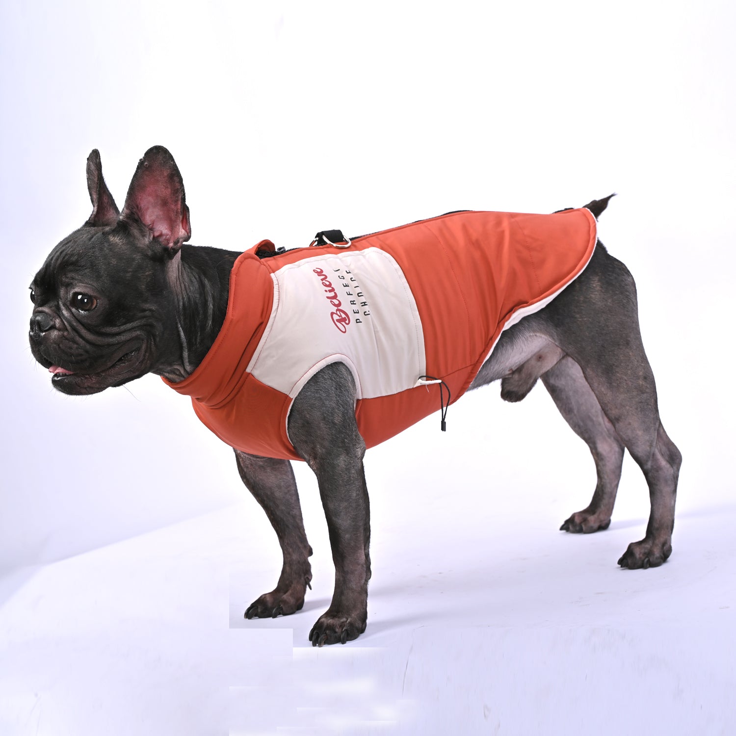 French Bulldog Winter Pet Jacket for Brachycephalic Dogs-fadou