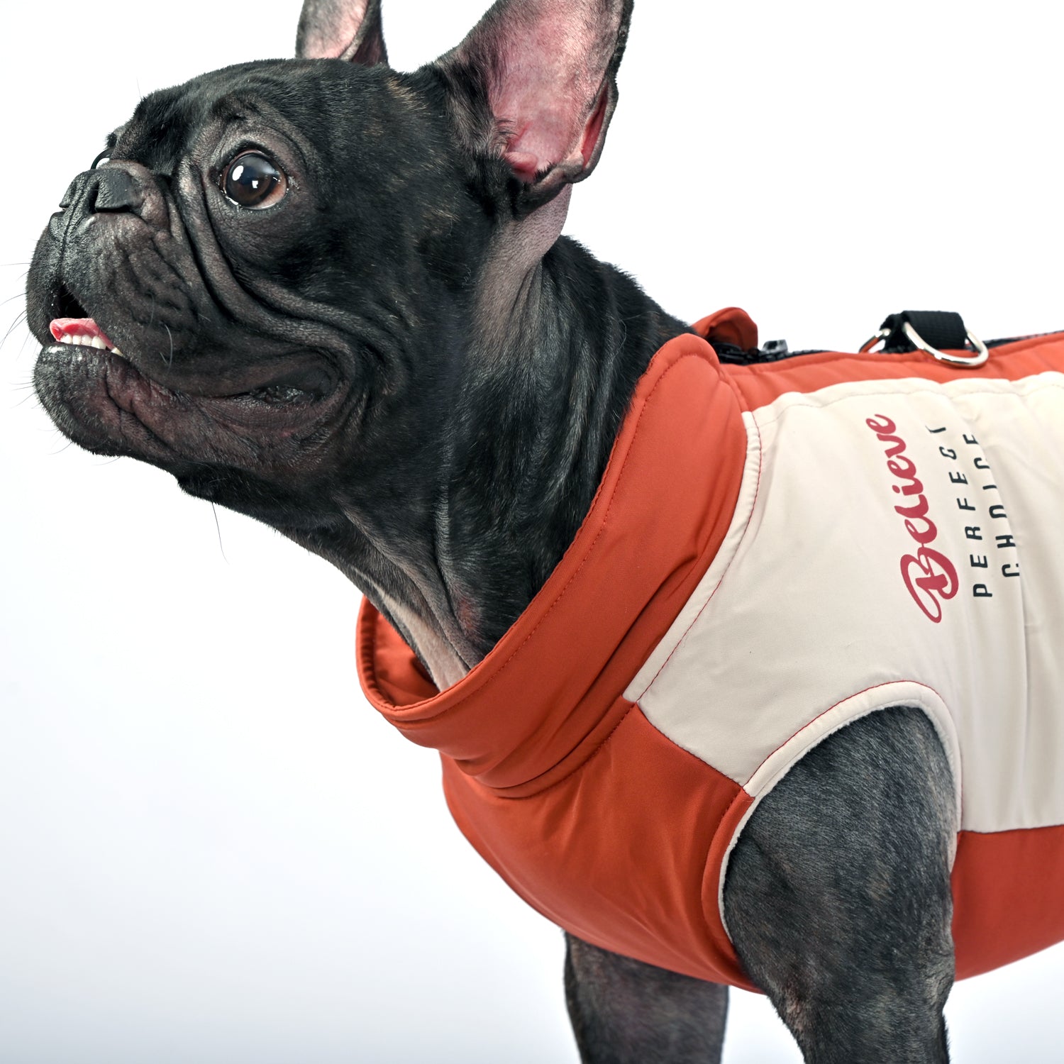 French Bulldog Winter Pet Jacket for Brachycephalic Dogs-fadou