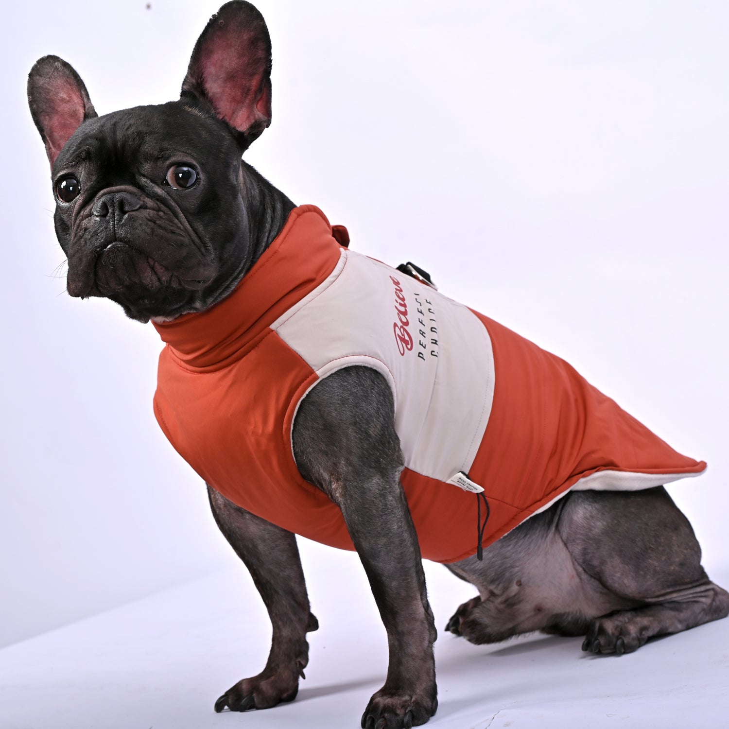 French Bulldog Winter Pet Jacket for Brachycephalic Dogs-fadou