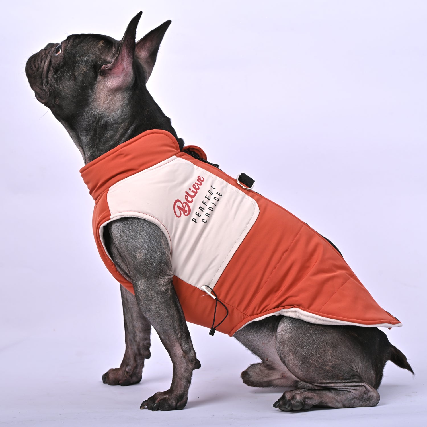 French Bulldog Winter Pet Jacket for Brachycephalic Dogs-fadou