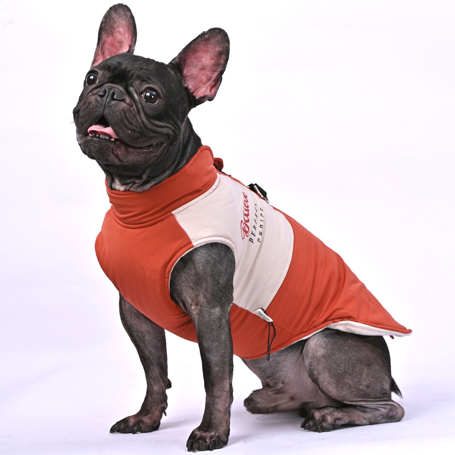 French Bulldog Winter Pet Jacket for Brachycephalic Dogs-fadou