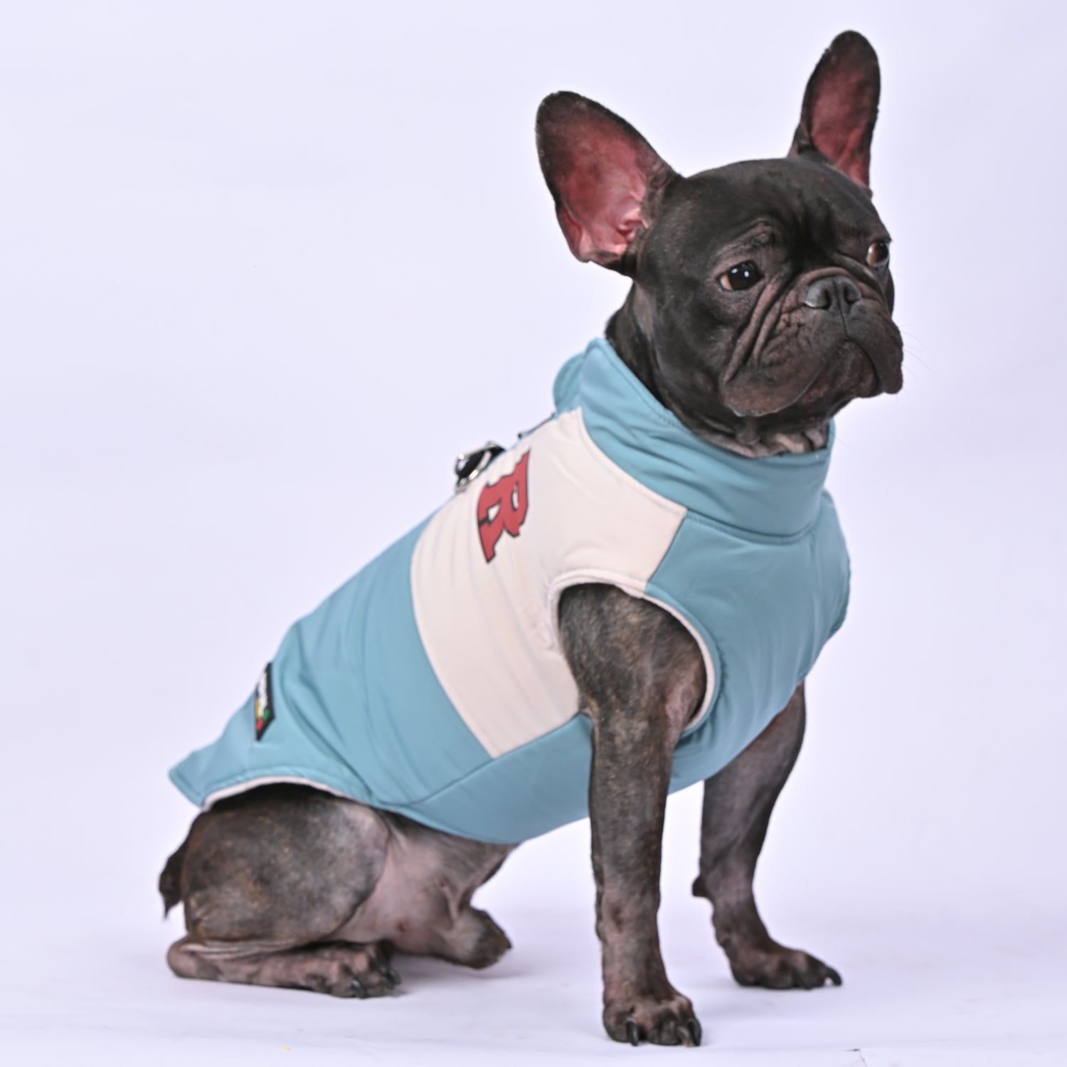 French Bulldog Winter Winter Jacket for Brachycephalic Dogs-fadou