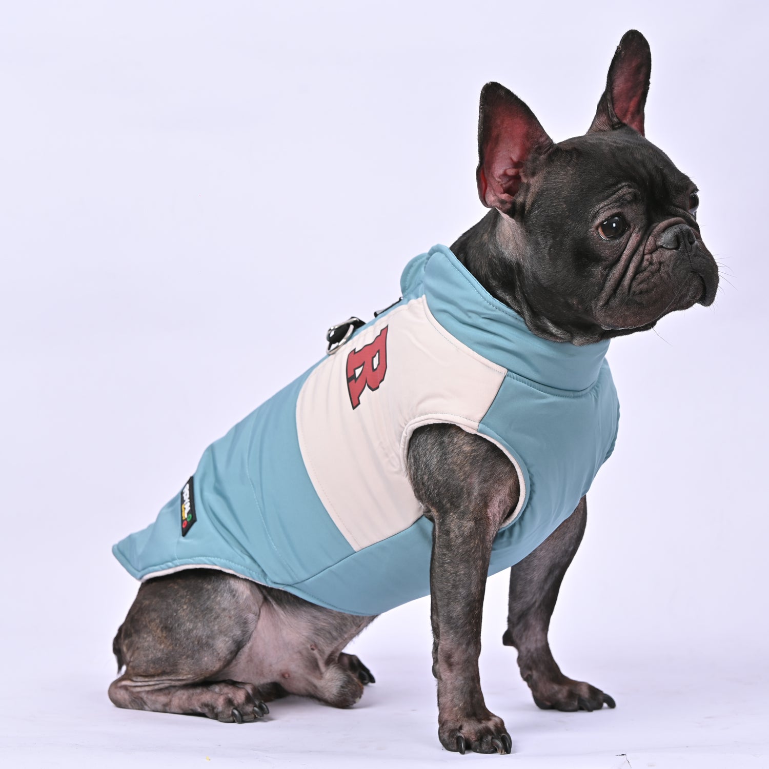 French Bulldog Winter Winter Jacket for Brachycephalic Dogs-fadou