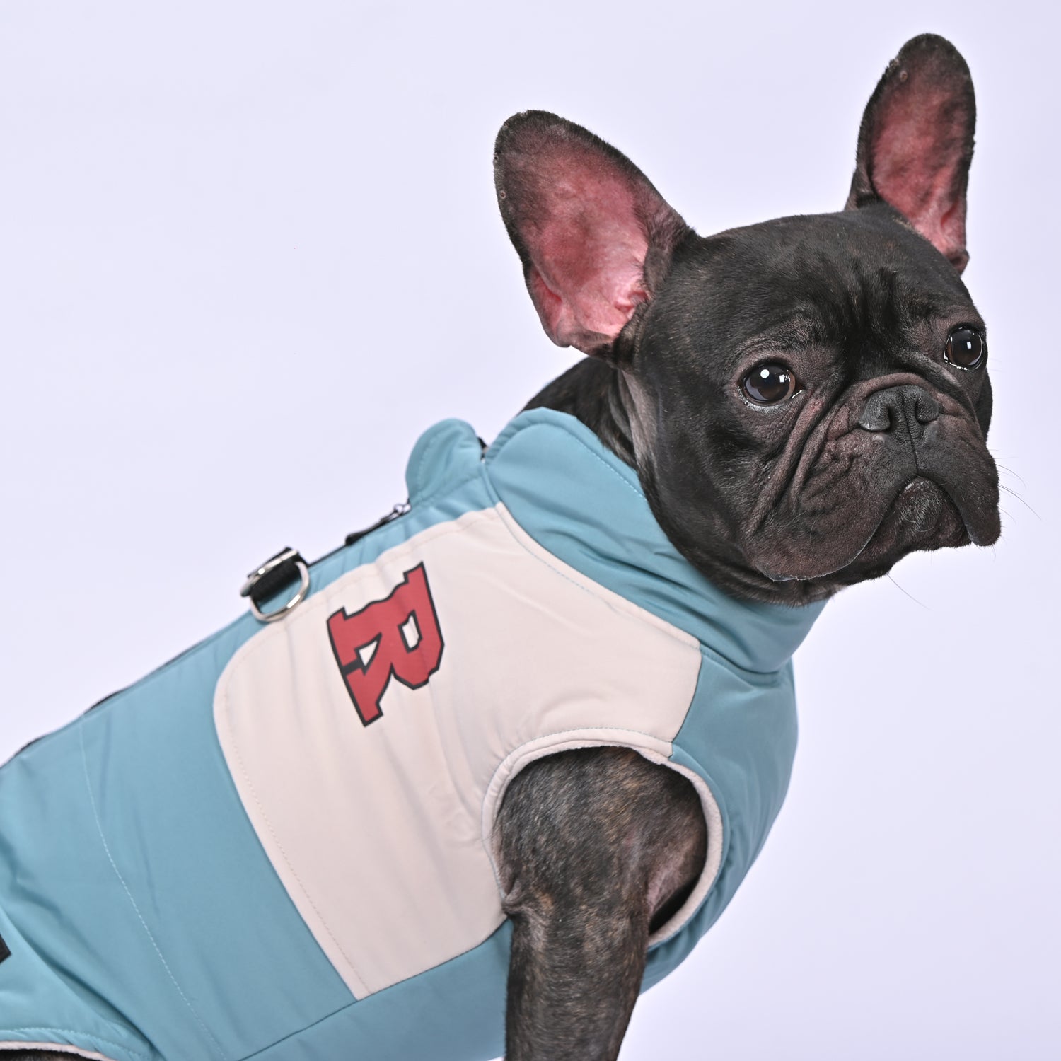 French Bulldog Winter Winter Jacket for Brachycephalic Dogs-fadou