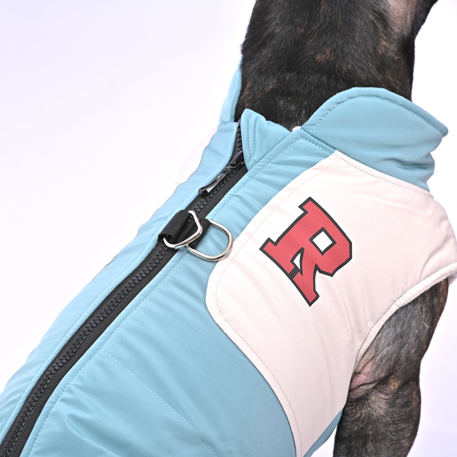 French Bulldog Winter Winter Jacket for Brachycephalic Dogs-fadou
