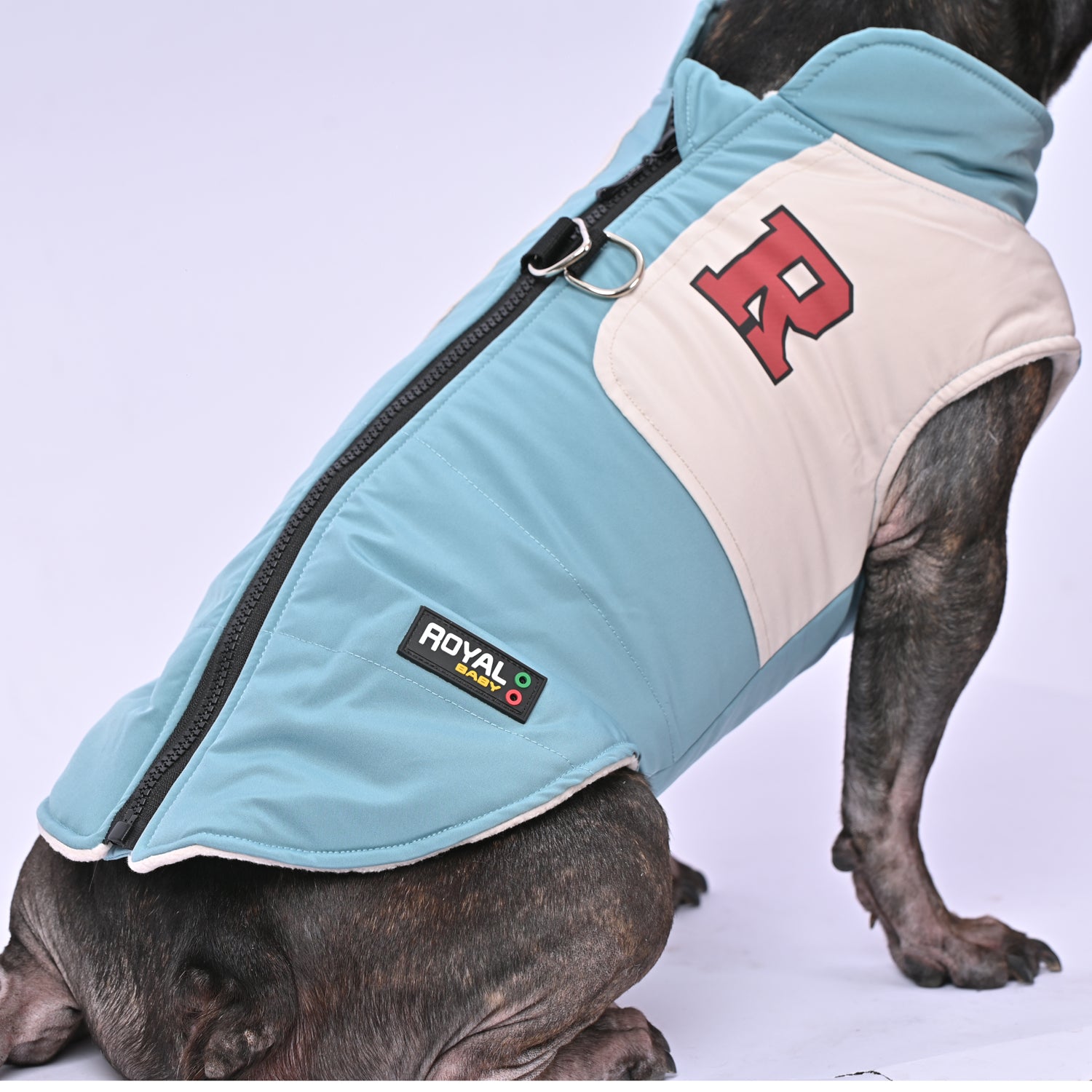 French Bulldog Winter Winter Jacket for Brachycephalic Dogs-fadou