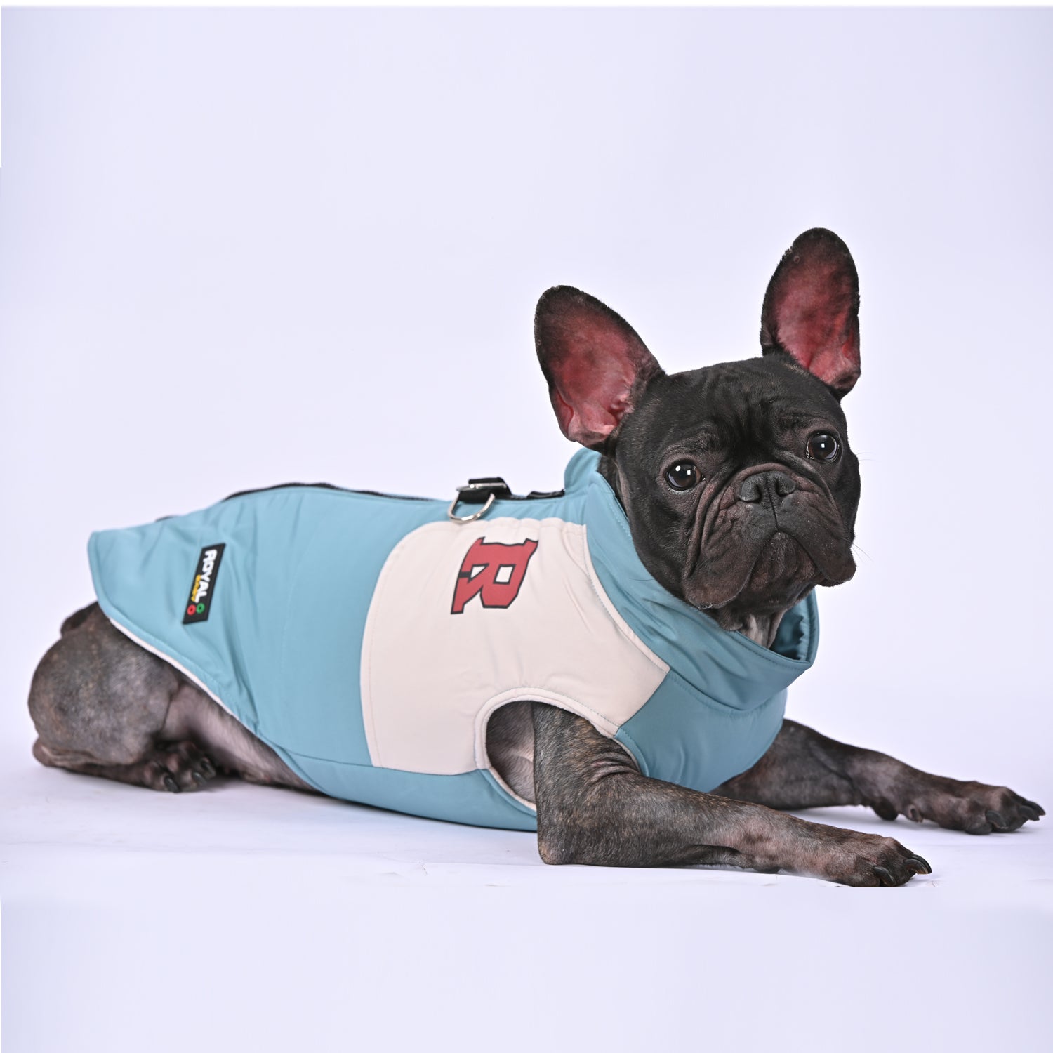 French Bulldog Winter Winter Jacket for Brachycephalic Dogs-fadou