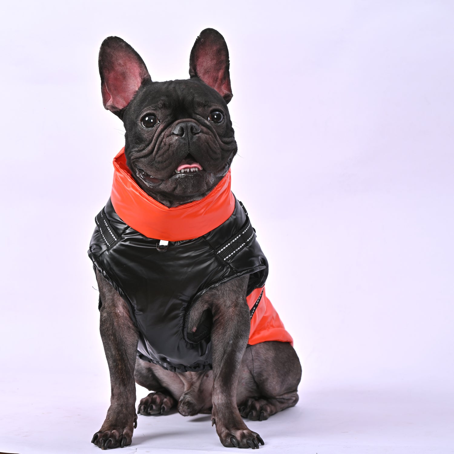 French Bulldog Warm Outerwear for Brachycephalic Dogs Gifts-fadou