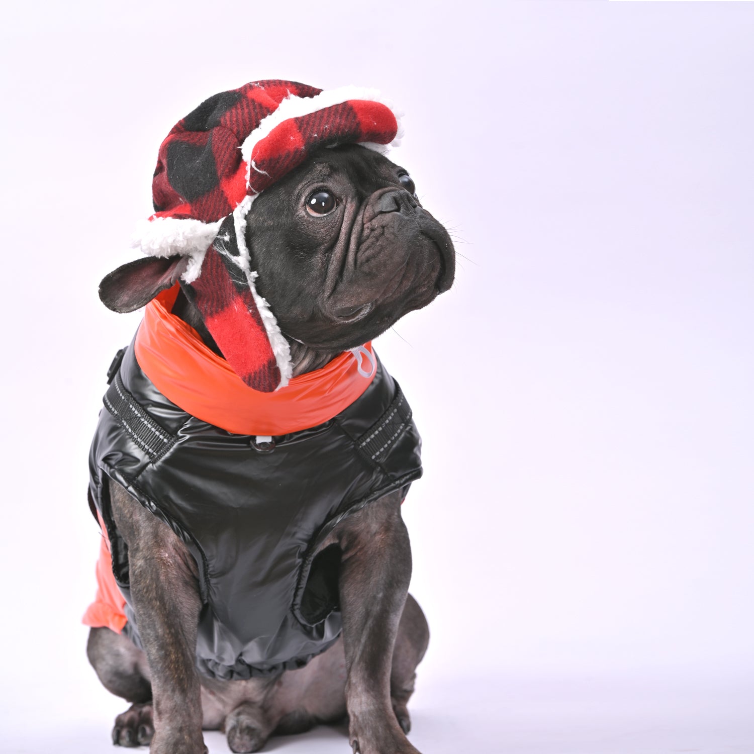 French Bulldog Warm Outerwear for Brachycephalic Dogs Gifts-fadou