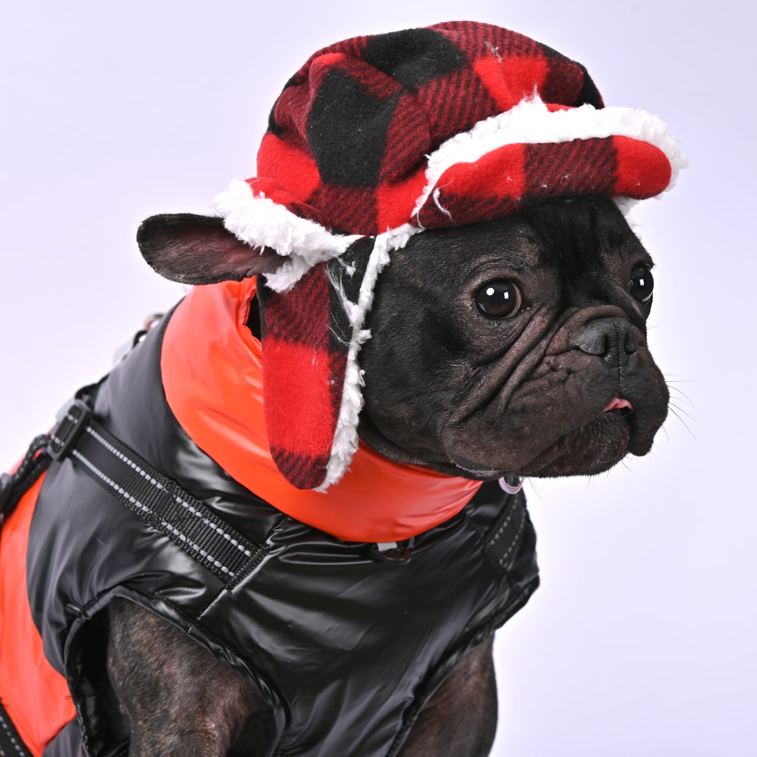 French Bulldog Warm Outerwear for Brachycephalic Dogs Gifts-fadou