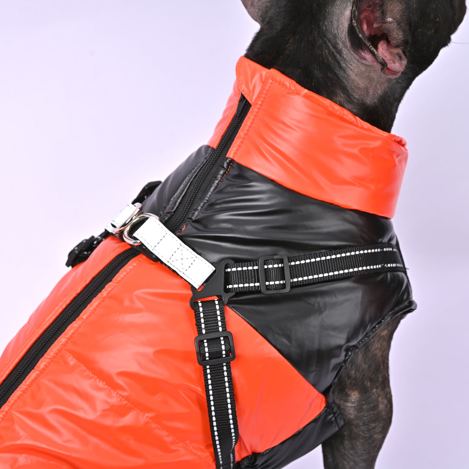French Bulldog Warm Outerwear for Brachycephalic Dogs Gifts-fadou