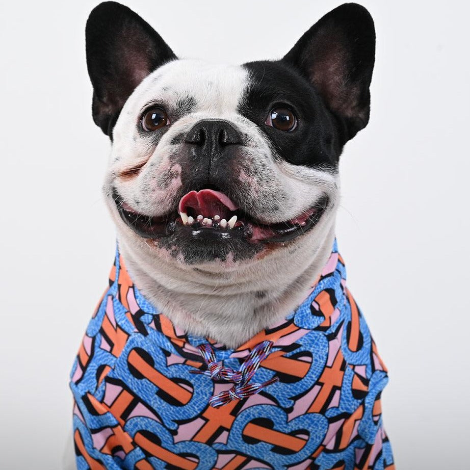 French Bulldog Warm Cotton Sweatshirt for Frenchie Fans-fadou