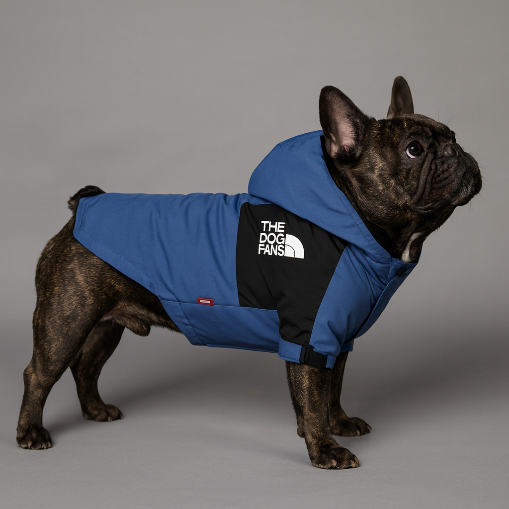 Windproof Waterproof Weather Shield for French Bulldogs-fadou