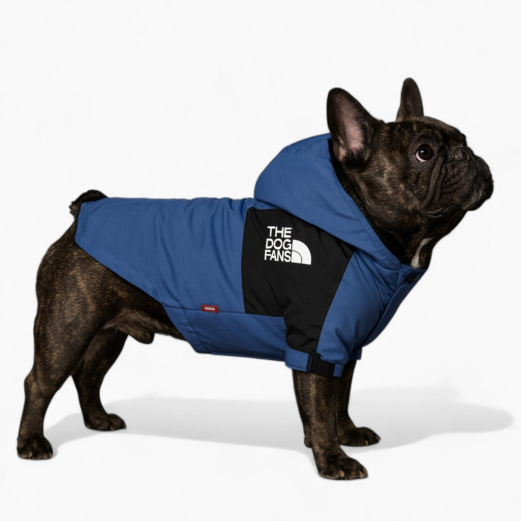 Windproof Waterproof Weather Shield for French Bulldogs-fadou