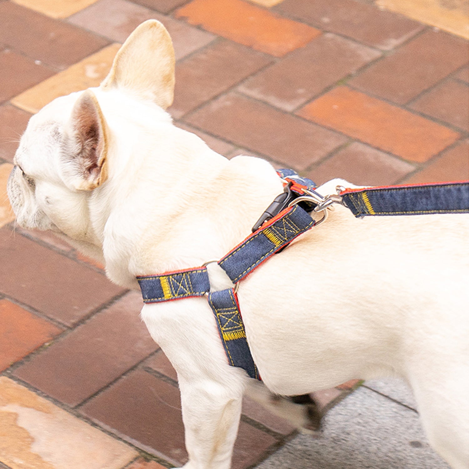 Frenchie Adjustable Walking Harness for Outdoor Adventures-fadou