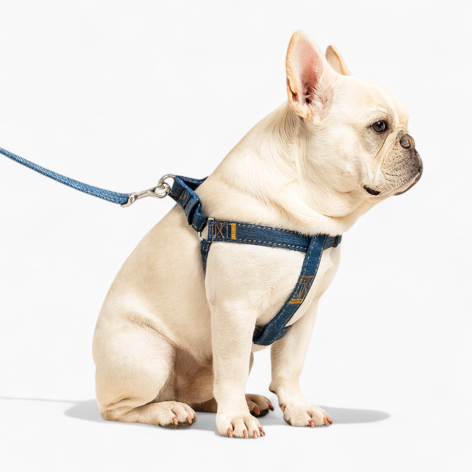Frenchie Adjustable Walking Harness for Outdoor Adventures-fadou