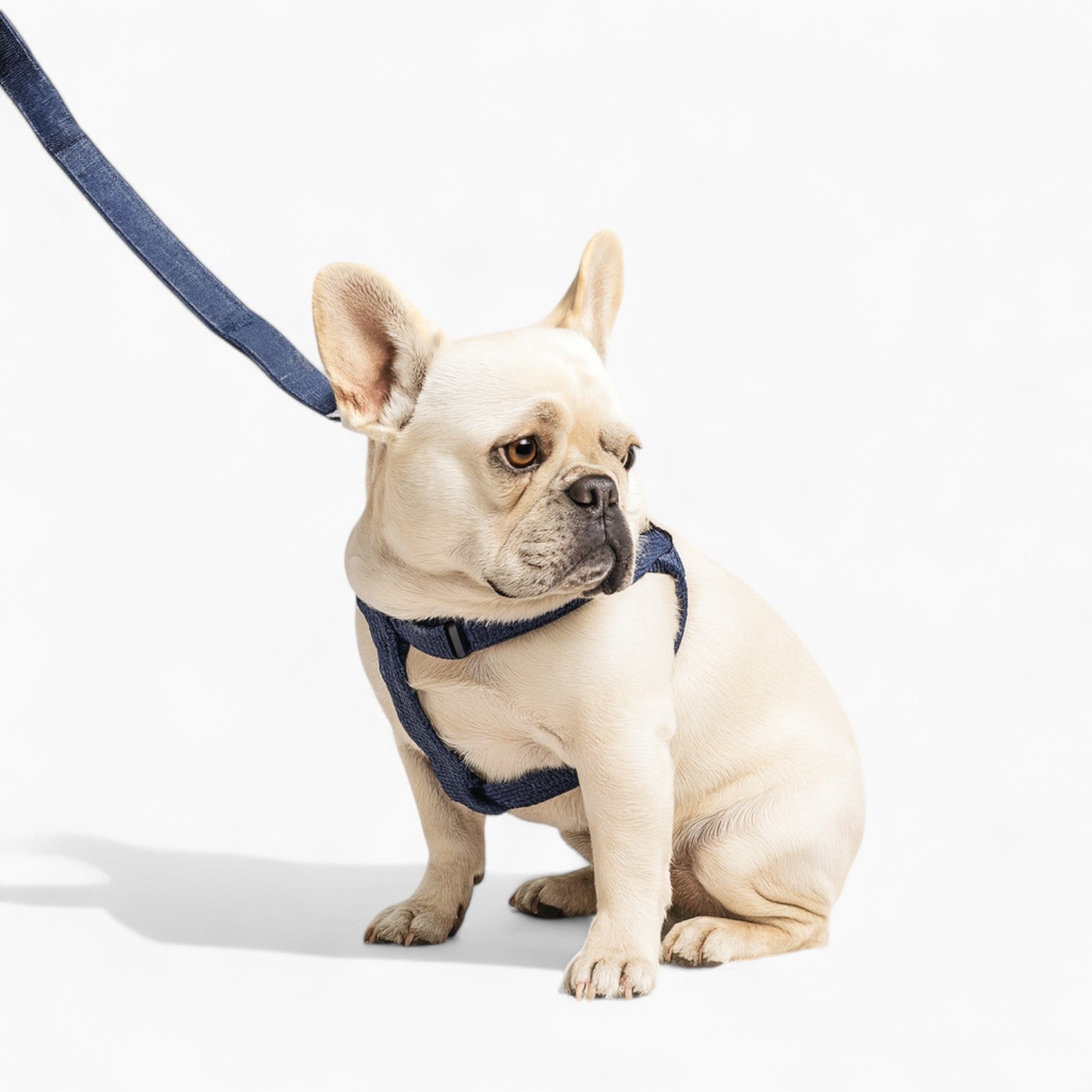 Frenchie Adjustable Walking Harness for Outdoor Adventures-fadou