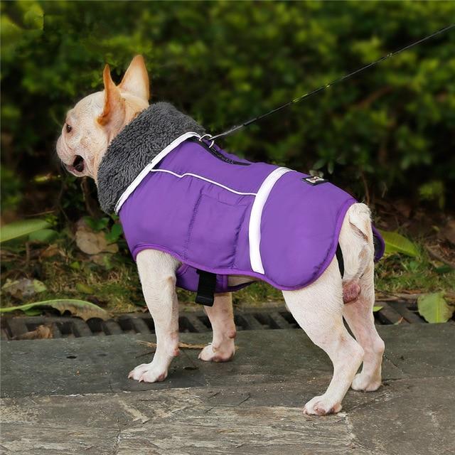 Warm Coat for Frenchie for French Bulldog Owners and Fans-fadou