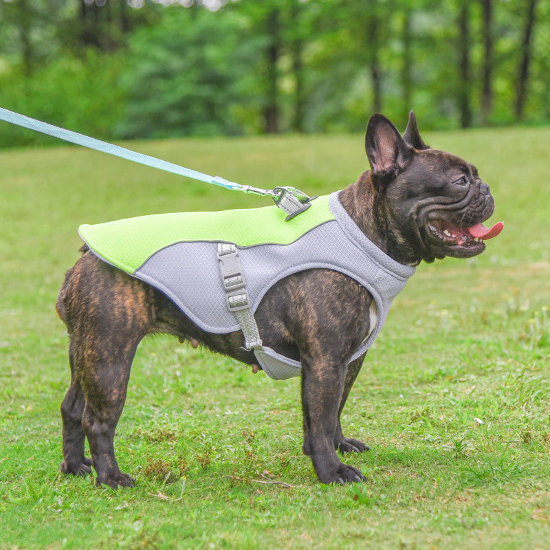 French Bulldog Breathable Walking Harness for Brachycephalic Dogs-fadou