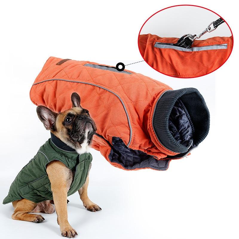 Cooper Jacket - Frenchie Waterproof Jacket for Frenchie Fans-fadou
