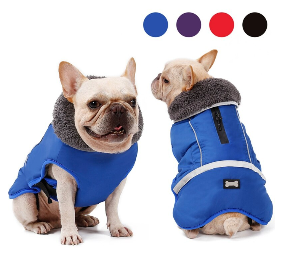 Warm Coat for Frenchie for French Bulldog Owners and Fans-fadou