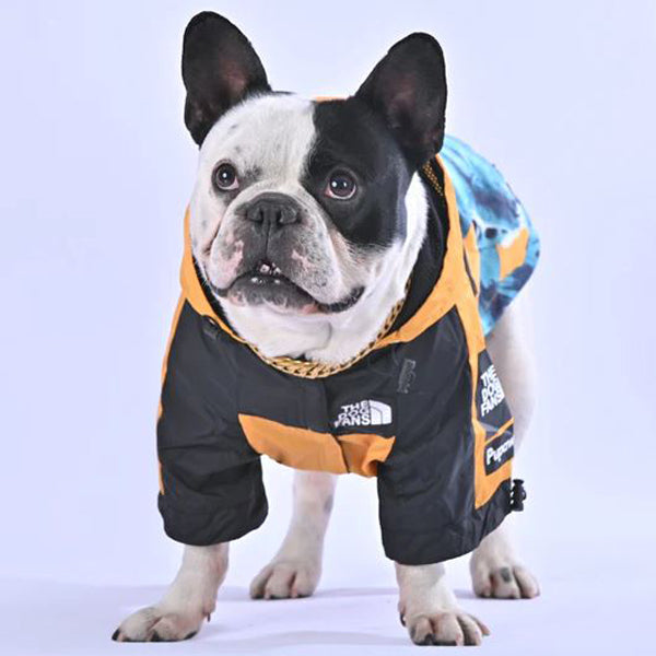 Dogium™ - French Bulldog Raincoat for Training Sessions-fadou