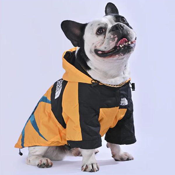 Dogium™ - French Bulldog Raincoat for Training Sessions-fadou