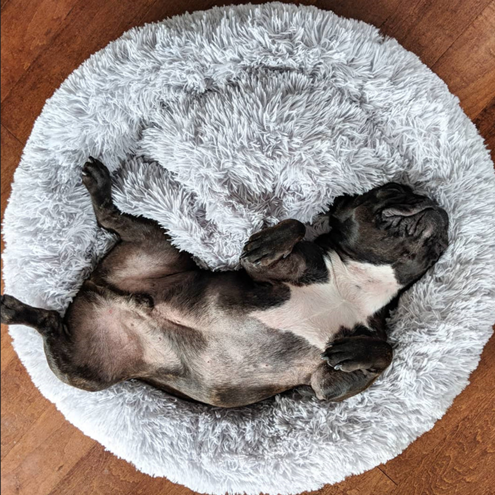 Donutly™: Anti-Anxiety French Bulldog Bed for Stocky Dogs-fadou