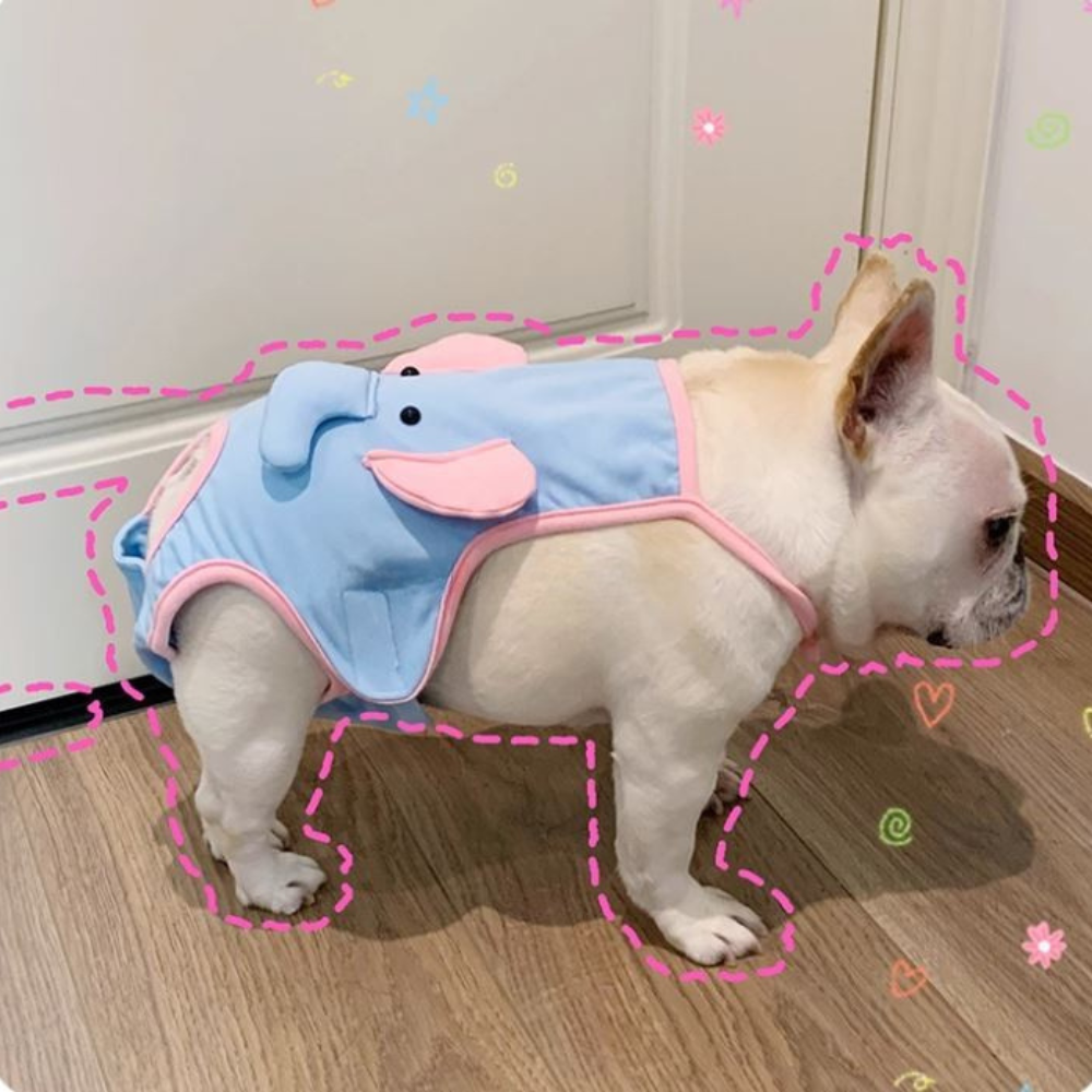 French Bulldog Absorbent Underwear for Brachycephalic Dogs-fadou