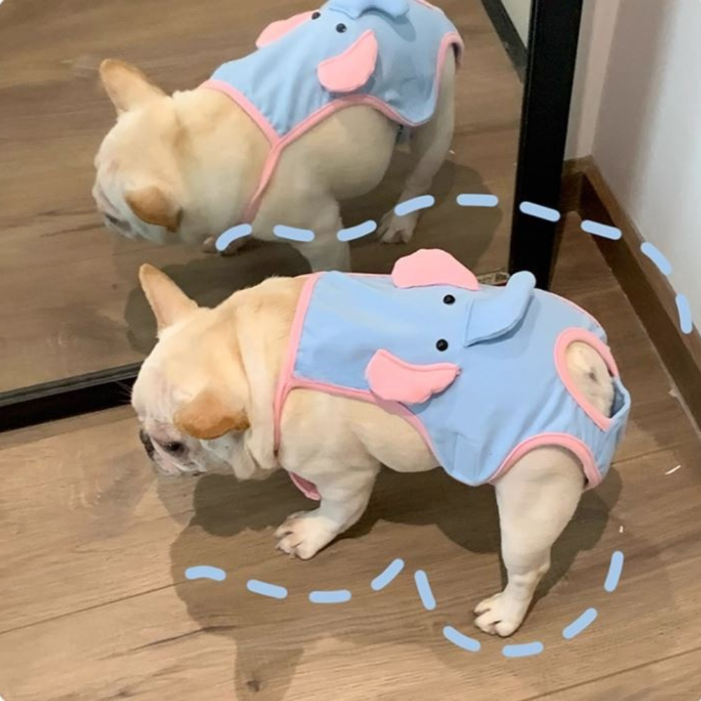 French Bulldog Absorbent Underwear for Brachycephalic Dogs-fadou