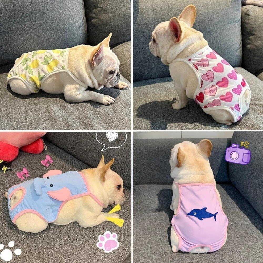French Bulldog Absorbent Underwear for Brachycephalic Dogs-fadou