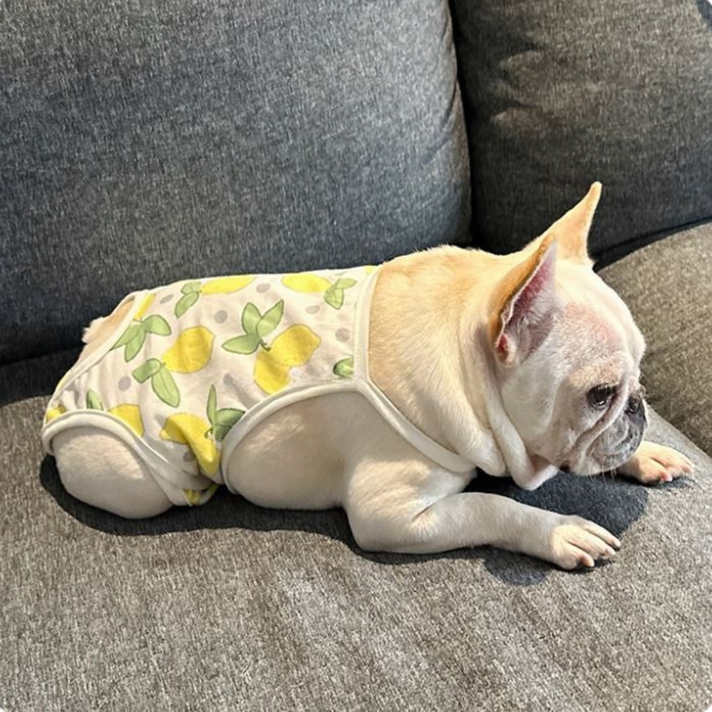 French Bulldog Absorbent Underwear for Brachycephalic Dogs-fadou