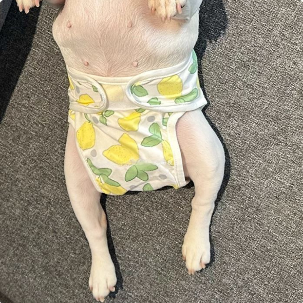 French Bulldog Absorbent Underwear for Brachycephalic Dogs-fadou